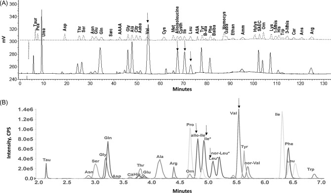(A) Plasma amino acid analysis of a patient with maple syrup urine disease using an ion-exchange chromatography method. Dotted line: calibration standard. Solid line: patient sample. (B) Multiple reaction monitoring liquid chromatography–tandem mass spectrometry method. Arrows: diagnostic amino acids (alloisoleucine, isoleucline, leucine, and valine).