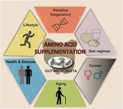 A large panel of factors can modulate the effects of specific amino acid supplements on gut microbiota. Gut microbiota owns a characteristic plasticity, and a lot of factors can modulate its composition, including genetic, epigenetic, and environmental factors (e.g., diet regimen and lifestyle), as well as aging, gender, and healthy or pathological conditions. Dietary supplementations with peculiar amino acid mixtures take place in this complex panorama