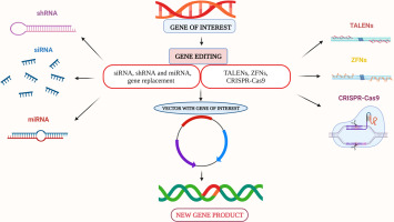Gene therapy: Comprehensive overview and therapeutic applications