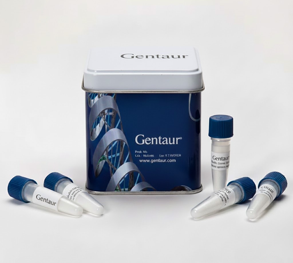 UltraRanger 1kb DNA Ladder, 100 Loads