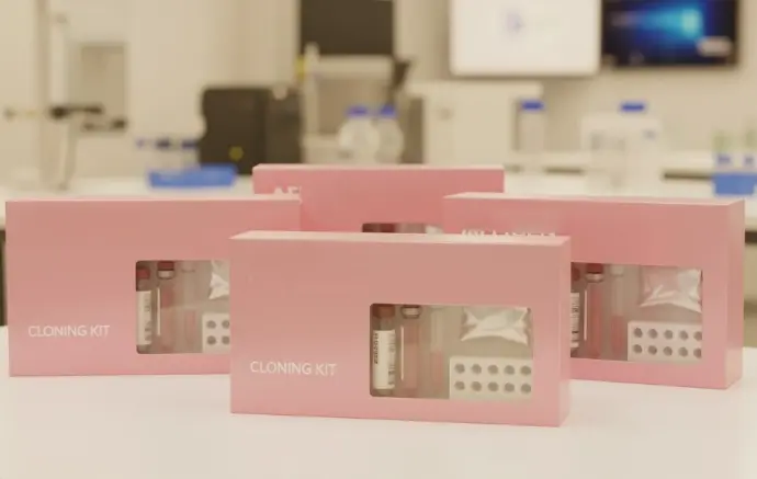 Rapid TA Cloning kit