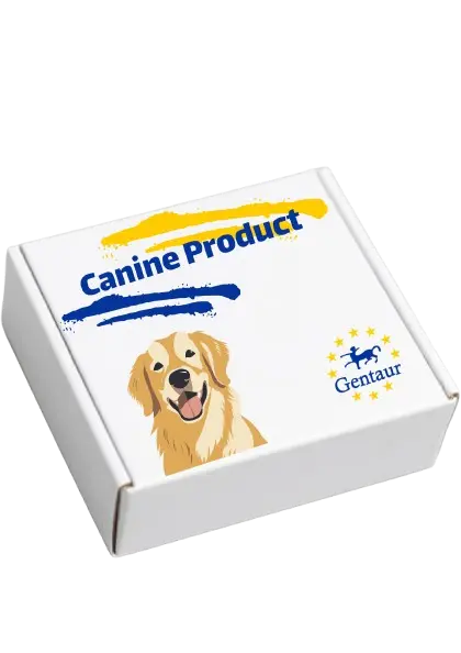 Canine IL-6 Fast ELISA