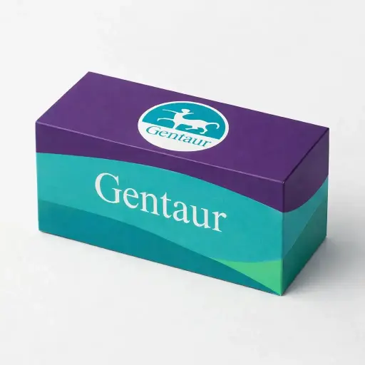 [304934] P/P004/NL236/RFLBD-600X400-1 Prohibited Activity Signs (No Adhesive)