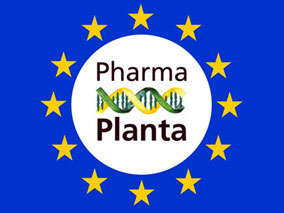 Pharma-Planta Consortium